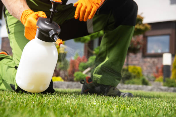 Wasp Removal Services in Cumming, GA