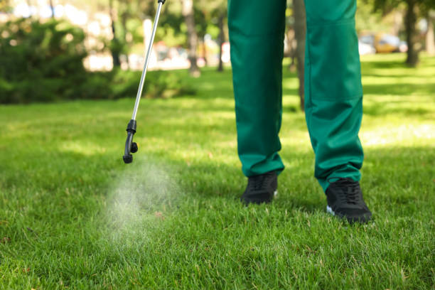 Best Pest Removal Services  in Cumming, GA