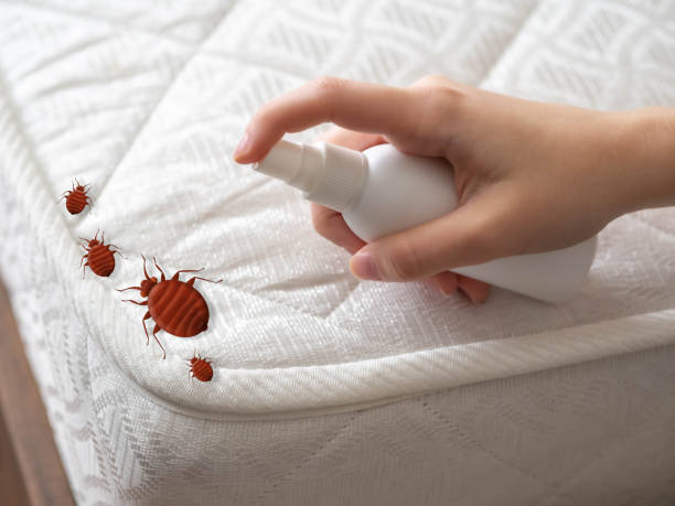 Trusted Cumming, GA Pest Control Experts