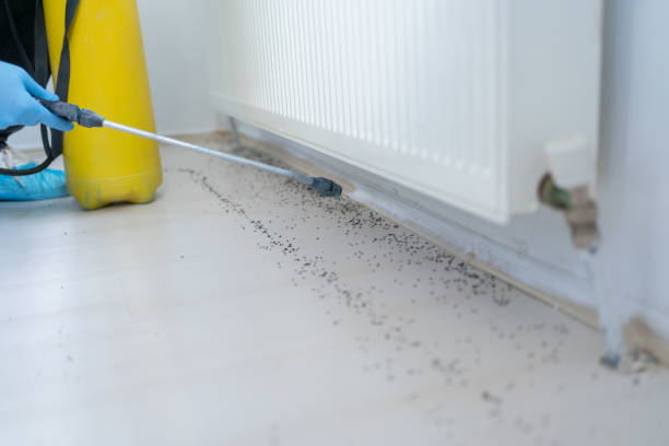 Best Affordable Pest Control Services  in Cumming, GA
