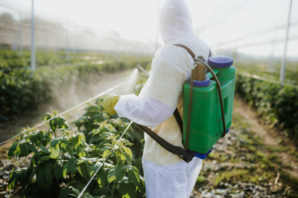 Best Local Pest Control Services  in Cumming, GA